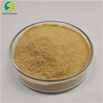 Tea Saponin Powder