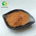 Tea Seed Extract Tea Saponin Powder