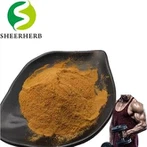 Turkesterone Powder