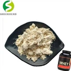 Bulk Whey Protein