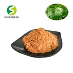 White Mulberry Leaf Powder