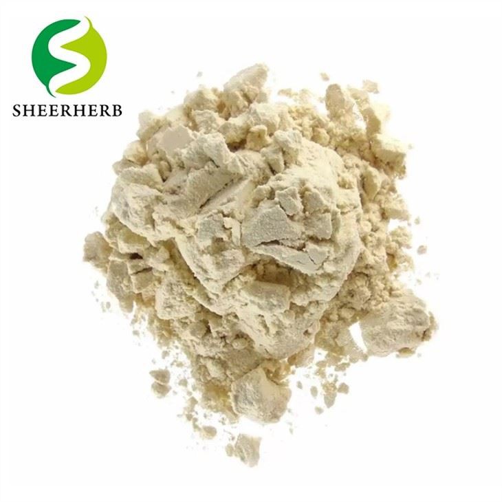 Soy Protein Powder Manufacturers Buy Soy Protein Powder