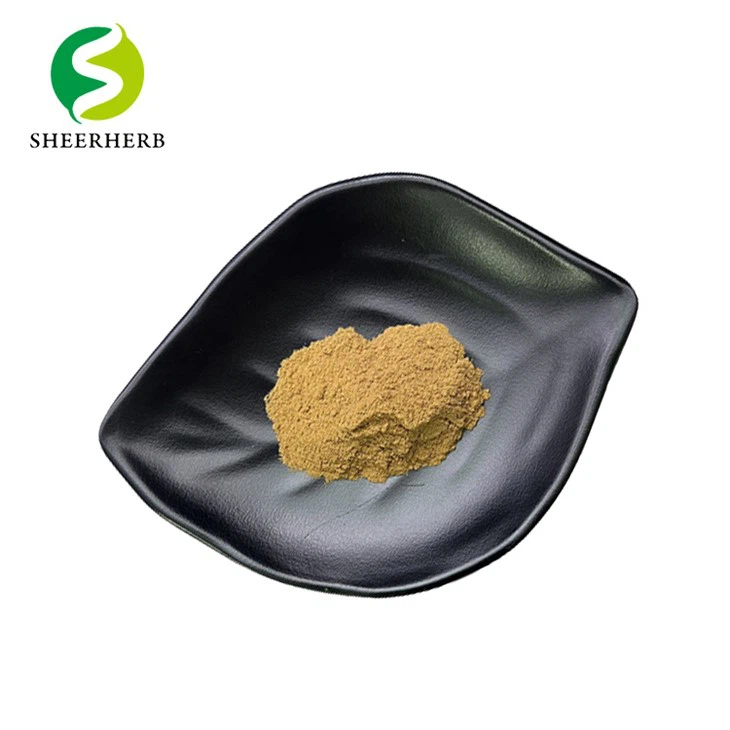 Rhodiola Rosea Extract