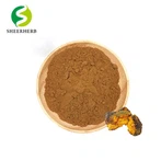Chaga Mushroom Powder