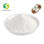 Coconut Milk Powder