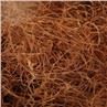 Corn Silk Extract