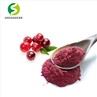 Cranberry Extract Powder
