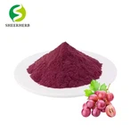 High Quality Anthocyanins Powder