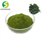 Kale Powder
