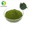 Kale Powder