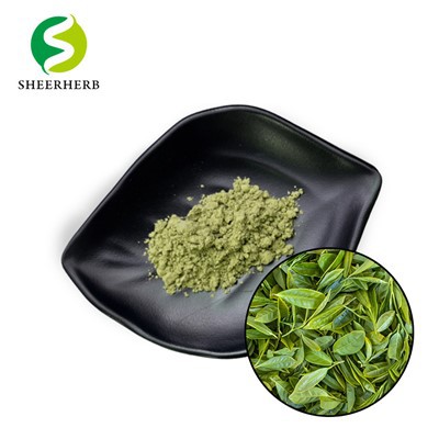 Matcha Powder Private Label