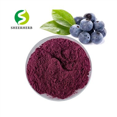 Organic Bilberry Powder