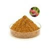 Rhodiola Rosea Extract-1