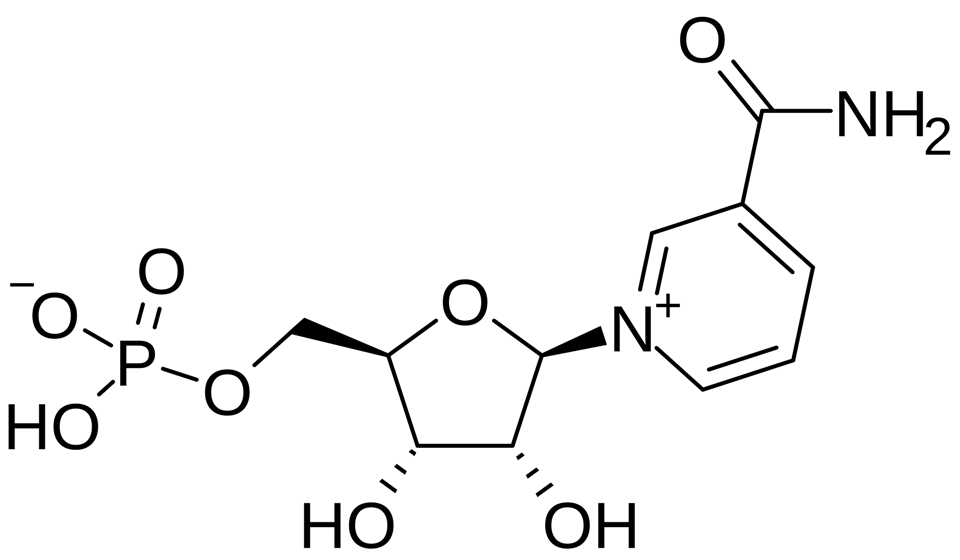 β-Nicotinamide Mononucleotide CAS 1094-61-7